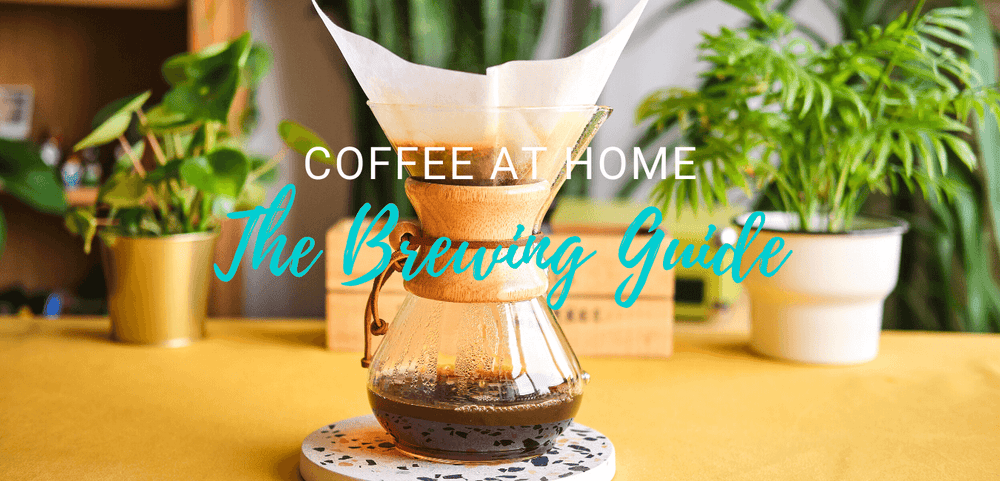 Coffee at Home - The Brewing Guide